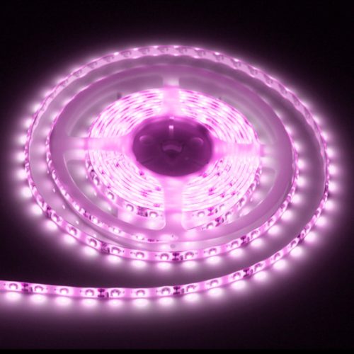 9,6W PINK IP65 120LED/m 12V LED szalag Conlight